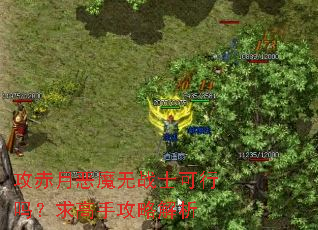 攻赤月恶魔无战士可行吗?求高手攻略解析 攻赤月恶魔无战士可行吗?求高手攻略解析