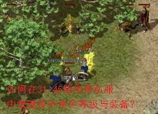 如何在31.45版传奇私服中快速提升角色等级与装备? 如何在31.45版传奇私服中快速提升角色等级与装备?