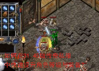 如何在31.45版传奇私服中快速提升角色等级与装备? 如何在31.45版传奇私服中快速提升角色等级与装备?
