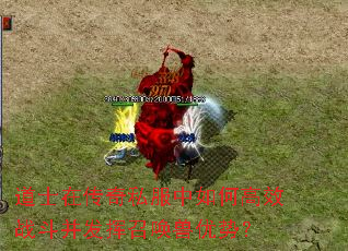 道士在传奇私服中如何高效战斗并发挥召唤兽优势? 道士在传奇私服中如何高效战斗并发挥召唤兽优势?