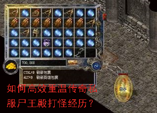 如何高效重温传奇私服尸王殿打怪经历? 如何高效重温传奇私服尸王殿打怪经历?
