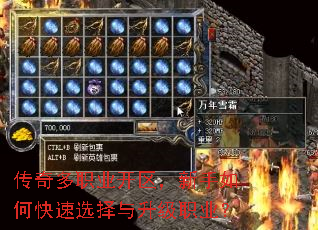 传奇多职业开区,新手如何快速选择与升级职业? 传奇多职业开区,新手如何快速选择与升级职业?