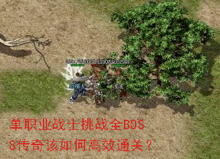 ��ְҵսʿ��սȫBOSS�������θ�Чͨ�أ�
