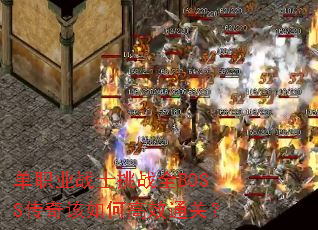 ��ְҵսʿ��սȫBOSS�������θ�Чͨ�أ�
