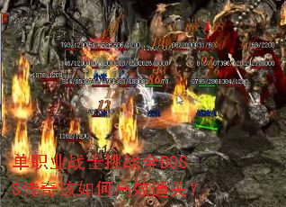 ��ְҵսʿ��սȫBOSS�������θ�Чͨ�أ�