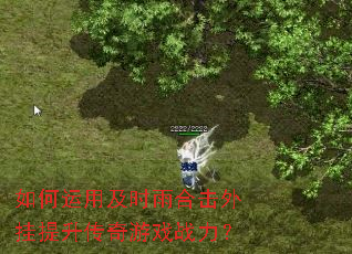 如何运用及时雨合击外挂提升传奇游戏战力? 如何运用及时雨合击外挂提升传奇游戏战力?