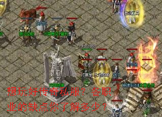 想玩好传奇私服?各职业的缺点你了解多少? 想玩好传奇私服?各职业的缺点你了解多少?