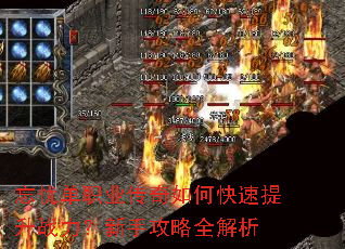 ���ǵ�ְҵ������ο�������ս�������ֹ���ȫ����