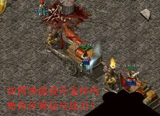 如何快速提升龙神传奇角色等级与战力? 如何快速提升龙神传奇角色等级与战力?