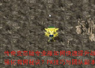 传奇变态版专业服如何快速提升战力?装备获取与强化有何秘诀?PK技巧与团队副本怎样制胜? 传奇变态版专业服如何快速提升战力?装备获取与强化有何秘诀?PK技巧与团队副本怎样制胜?