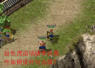 白色虎齿项链幸运属性如何提升与选择? 白色虎齿项链幸运属性如何提升与选择?
