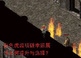 白色虎齿项链幸运属性如何提升与选择? 白色虎齿项链幸运属性如何提升与选择?