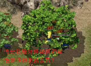 传奇私服外挂如何调整指定怪物刷新设置? 传奇私服外挂如何调整指定怪物刷新设置?