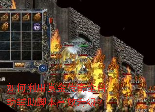 如何利用赏金传奇全自动辅助脚本高效升级? 如何利用赏金传奇全自动辅助脚本高效升级?