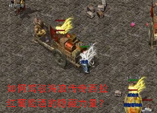 如何驾驭海浪传奇西拉红葡萄酒的隐藏力量? 如何驾驭海浪传奇西拉红葡萄酒的隐藏力量?