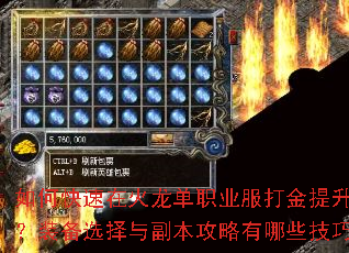 如何快速在火龙单职业服打金提升战力?装备选择与副本攻略有哪些技巧? 如何快速在火龙单职业服打金提升战力?装备选择与副本攻略有哪些技巧?