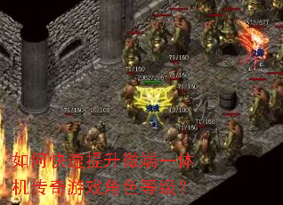 如何快速提升微端一体机传奇游戏角色等级? 如何快速提升微端一体机传奇游戏角色等级?