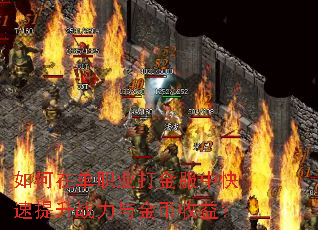 如何在单职业打金服中快速提升战力与金币收益? 如何在单职业打金服中快速提升战力与金币收益?