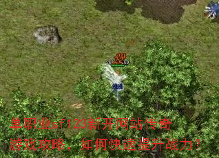 单职业sf123新开网站传奇游戏攻略,如何快速提升战力? 单职业sf123新开网站传奇游戏攻略,如何快速提升战力?