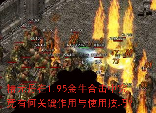 精元丹在1.95金牛合击中究竟有何关键作用与使用技巧? 精元丹在1.95金牛合击中究竟有何关键作用与使用技巧?