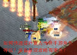如何快速提升复古传世手游角色等级?装备获取攻略有哪些? 如何快速提升复古传世手游角色等级?装备获取攻略有哪些?