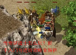 传奇SF道士怎么玩?新手入门与进阶攻略全解析 传奇SF道士怎么玩?新手入门与进阶攻略全解析