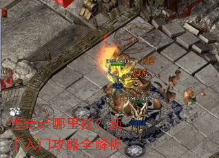 传奇sf哪里找?新手入门攻略全解析 传奇sf哪里找?新手入门攻略全解析