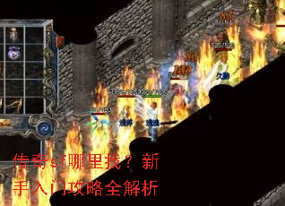 传奇sf哪里找?新手入门攻略全解析 传奇sf哪里找?新手入门攻略全解析