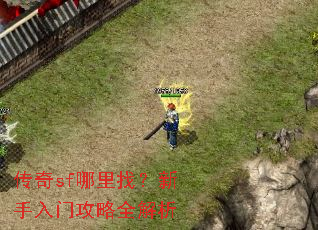 传奇sf哪里找?新手入门攻略全解析 传奇sf哪里找?新手入门攻略全解析