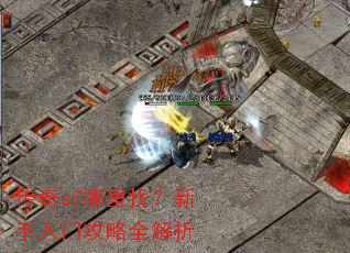 传奇sf哪里找?新手入门攻略全解析 传奇sf哪里找?新手入门攻略全解析
