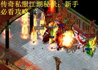 传奇私服江湖秘录：新手必看攻略