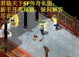 君临天下SF传奇私服：新手开荒秘籍，疑问解答尽在此