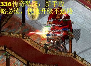 336传奇私服：新手攻略必读，快速升级不迷路