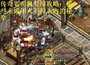 传奇老司机专用攻略：那些未成年人不得入内的秘辛