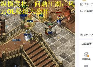 纵横武林，问鼎江湖：风云OL秘籍大公开