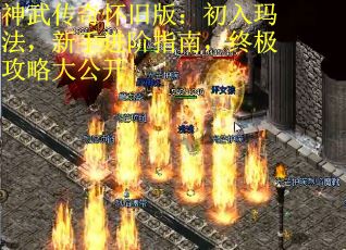 神武传奇怀旧版：初入玛法，新手进阶指南，终极攻略大公开