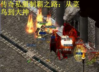 传奇私服制霸之路：从菜鸟到大神