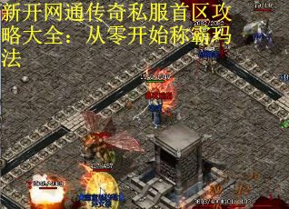 新开网通传奇私服首区攻略大全：从零开始称霸玛法