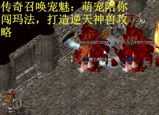 传奇召唤宠魅：萌宠陪你闯玛法，打造逆天神兽攻略