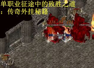 单职业征途中的致胜之道：传奇外挂秘籍