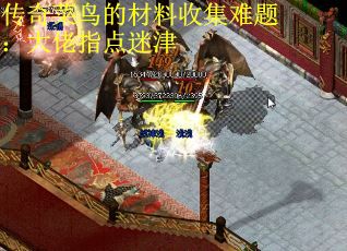 传奇菜鸟的材料收集难题：大佬指点迷津