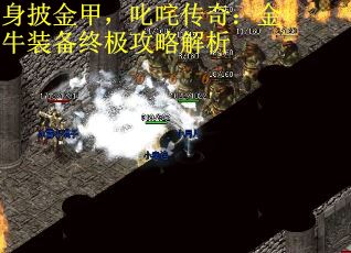 身披金甲，叱咤传奇：金牛装备终极攻略解析