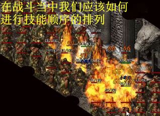 在战斗当中我们应该如何进行技能顺序的排列