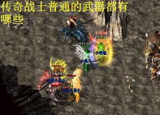 传奇战士普通的武器都有哪些