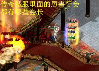 传奇私服里面的厉害行会都有哪些会长