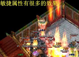 敏捷属性有很多的效果