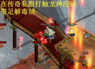 在传奇私服打触龙神应该带足解毒剂