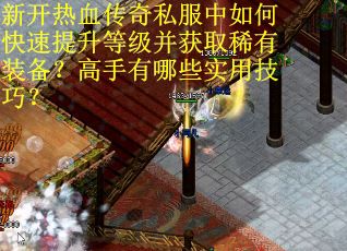 新开热血传奇私服中如何快速提升等级并获取稀有装备？高手有哪些实用技巧？