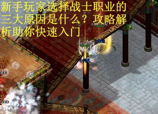 新手玩家选择战士职业的三大原因是什么？攻略解析助你快速入门