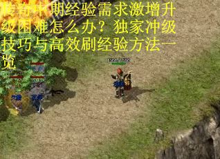 传奇中期经验需求激增升级困难怎么办？独家冲级技巧与高效刷经验方法一览